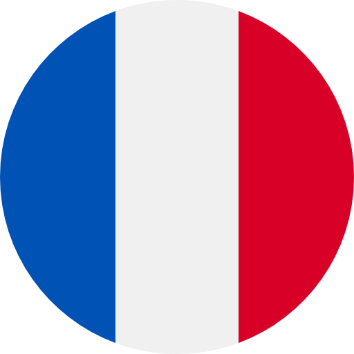  Dedicated Server in France